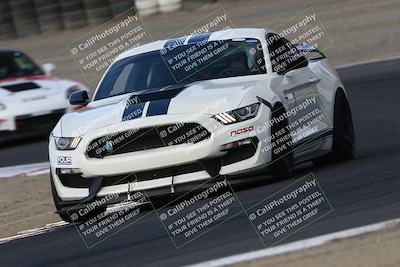 media/Aug-23-2024-Speed Ventures (Fri) [[92f1efc5e7]]/Red/Session 1 (Turn 3)/